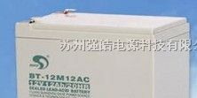 供应台湾赛特蓄电池12V12AH赛特电瓶 BT-12M12AC