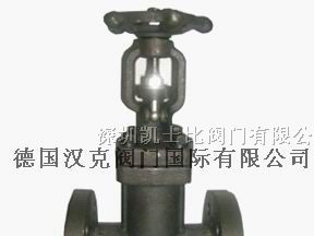 供应进口锻钢波纹截止阀