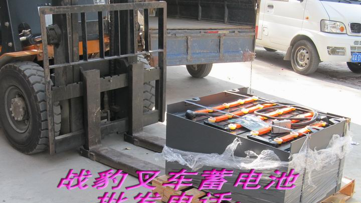美国战豹蓄电池