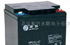 山东圣阳蓄电池厂家现货供应圣阳蓄电池参数报价