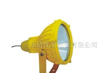 供应BTC8210防爆投光灯．BTC8210防爆投光灯价格