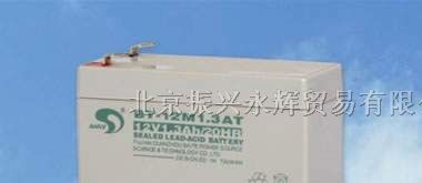 圣阳蓄电池FT系列报价
