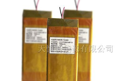 电动车用低温聚合物锂电池