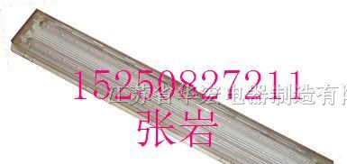 供应ZY5320室内照明灯 华宏BAY85防爆全塑LED荧光灯