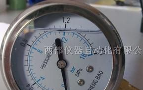 供应防震压力表 YN60 耐震压力表 油压表