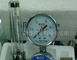 供应氩气减压器 (带流量计) YQAr-731L