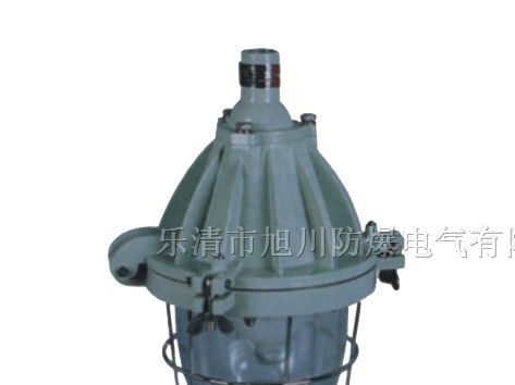 供应BAD51隔爆型防爆灯@？BAD51隔爆型防爆灯