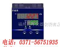 供应福光百特，流量积算仪，XMLH606666