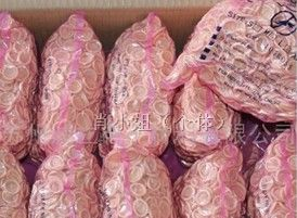 供应苏州一次性米黄手指套 防静电手指套