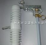 现货供应跌落式熔断器RW11-10/100A