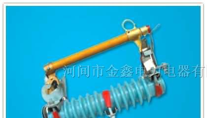 跌落式熔断器RW11-10/100A厂家型号