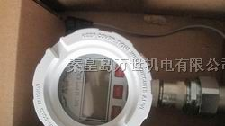 供应Halliburton流量计