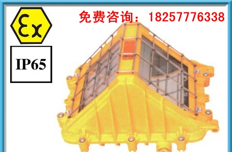 DGS70/127B(C)矿用隔爆型巷道灯