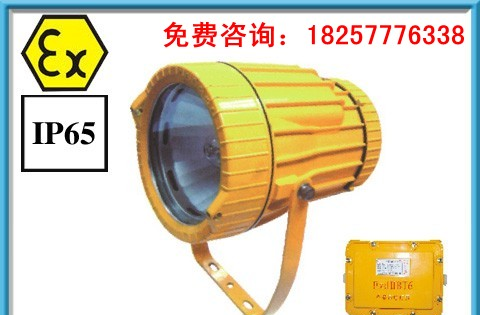 DGS70/127B(A)矿用隔爆型投光灯