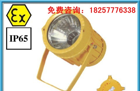 BTC8200/BTC8200A防爆投光灯