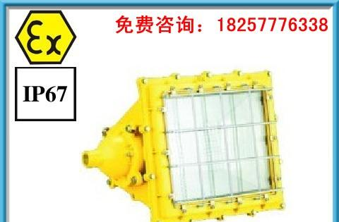 BTC6160防爆泛光灯