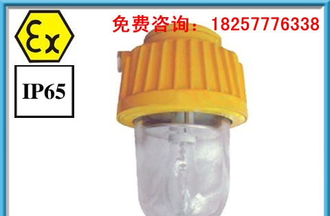 BPC8730防爆平台灯