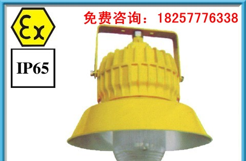 BPC8710防爆平台灯