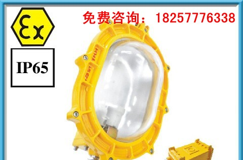 BFE8120内场防爆应急灯