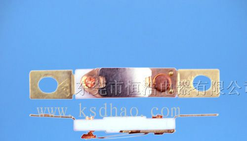 供应RS03温度开关，电烤箱温控器，热保护器