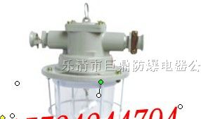 供应DGS60/127B(T)矿用白炽灯,隔爆型白炽灯