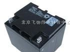 松下电池12V-38AH 松下电池报价