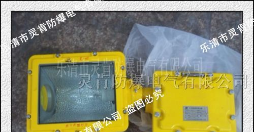 供应DGS70/127B(F)防爆泛光灯，70W泛光灯
