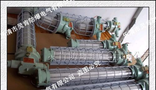 供应DGS55/127Y，DGS55/127Y，55W防爆荧光灯