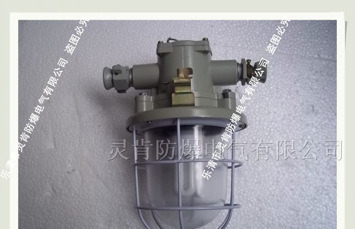 供应DGS13/127Y荧光灯，13W防爆荧光灯，13W圆形荧光灯