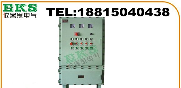 防爆动力配电箱 BXD51-4|BXD51-6|BXD51-8|