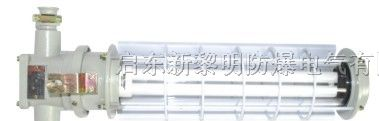 供应KBJY-24/127V矿用防爆节能荧光灯,矿用防爆日光灯