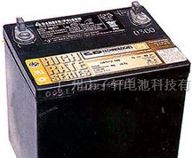 供应大力神UPS系列蓄电池