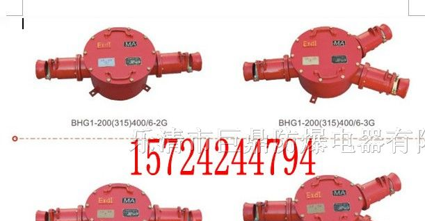 供应BHG1-400/6KV-2矿用隔爆型高压电缆接线盒