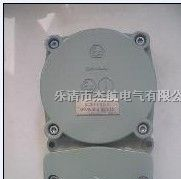 供应井筒开关，传感器esMST2/1