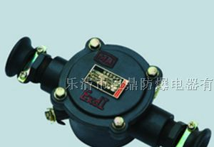 供应BHD2-100A-2T隔爆型电缆接线盒