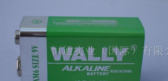 供应6LR61/9V碱性电池