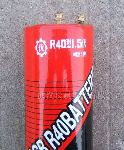 供应R40电池