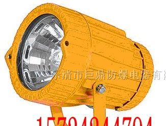 供应DGS70 / 127B防爆投光灯