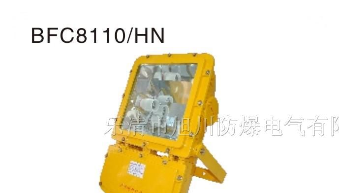【制造】BFC8110/HN防爆泛光灯