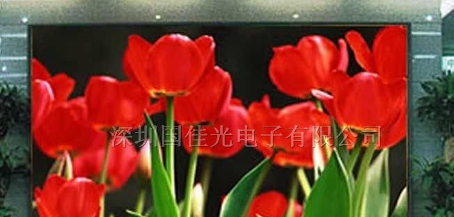 供应LED全彩显示屏 LED全彩模组