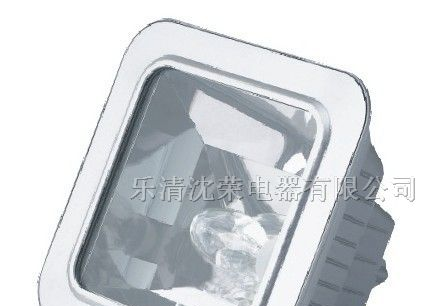供应NFE9100应急棚顶灯，防爆灯，防爆配电箱