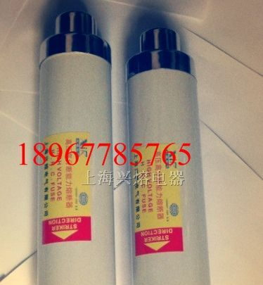 【高压熔断器】XRNT1-10／200