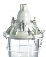 供应CCD200隔爆型防爆灯,250W隔爆型防爆灯