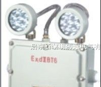 供应BCJ防爆应急灯,双头防爆应急灯,消防防爆应急灯