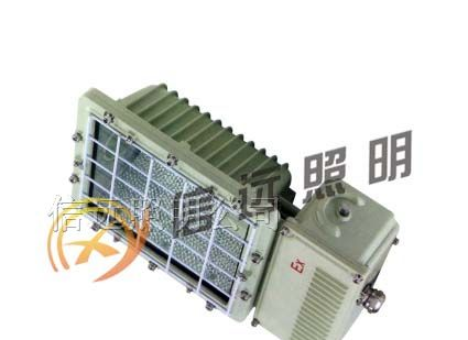 供应XY-BTC6131 厂用防爆泛光灯(路灯)