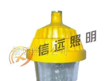 供应防爆平台灯 BPC8720