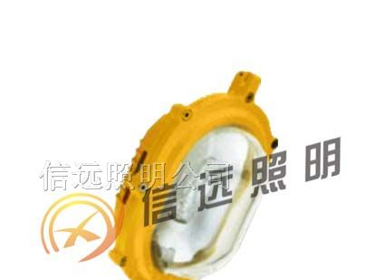 供应8120内场防爆应急灯