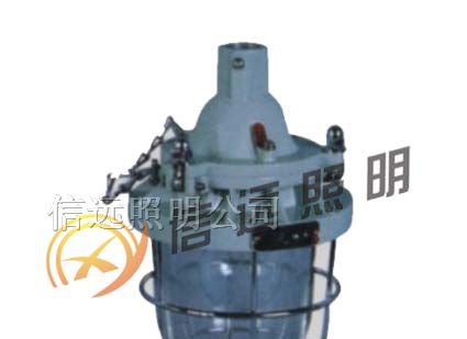 供应BAD53系列隔爆型防爆灯(II B )