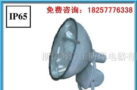 ZT6900防水防尘防震投光灯