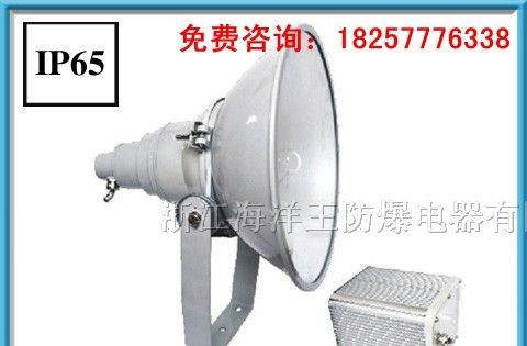 NTC9210/NTC9210A防震型投光灯